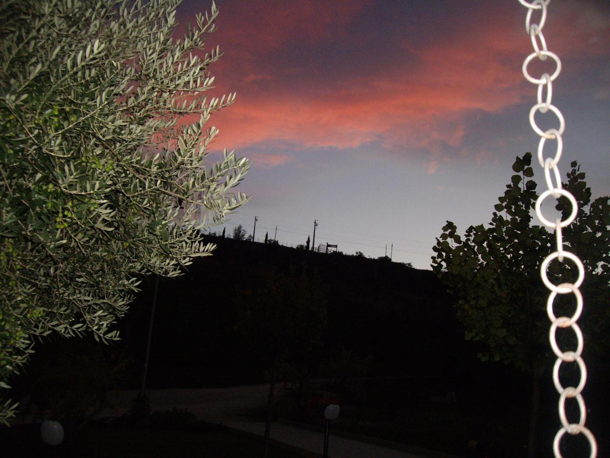 Agriturismo Il Borgo Degli Ulivi ロゼート・デッリ・アブルッツィ エクステリア 写真