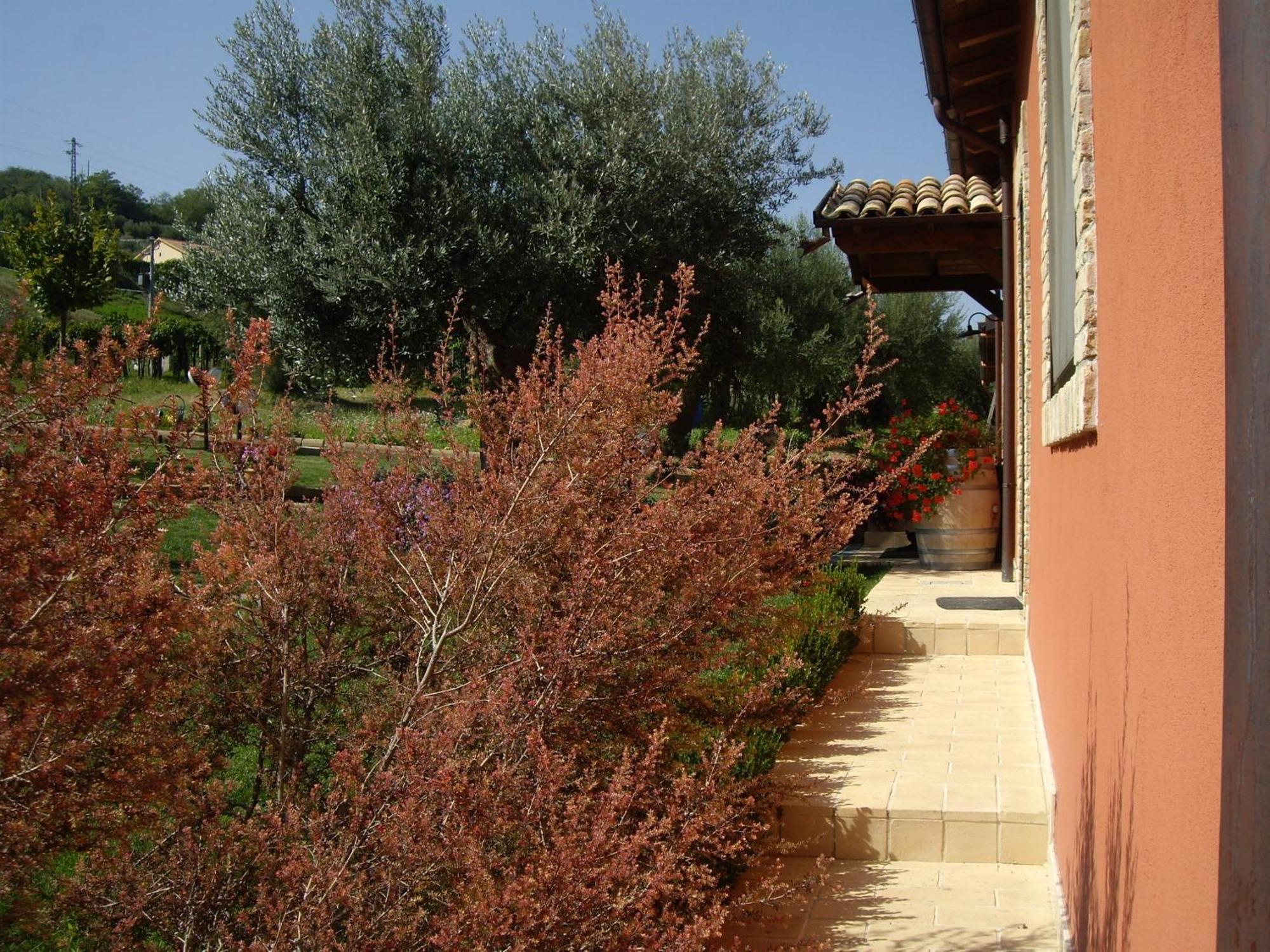 Agriturismo Il Borgo Degli Ulivi ロゼート・デッリ・アブルッツィ エクステリア 写真