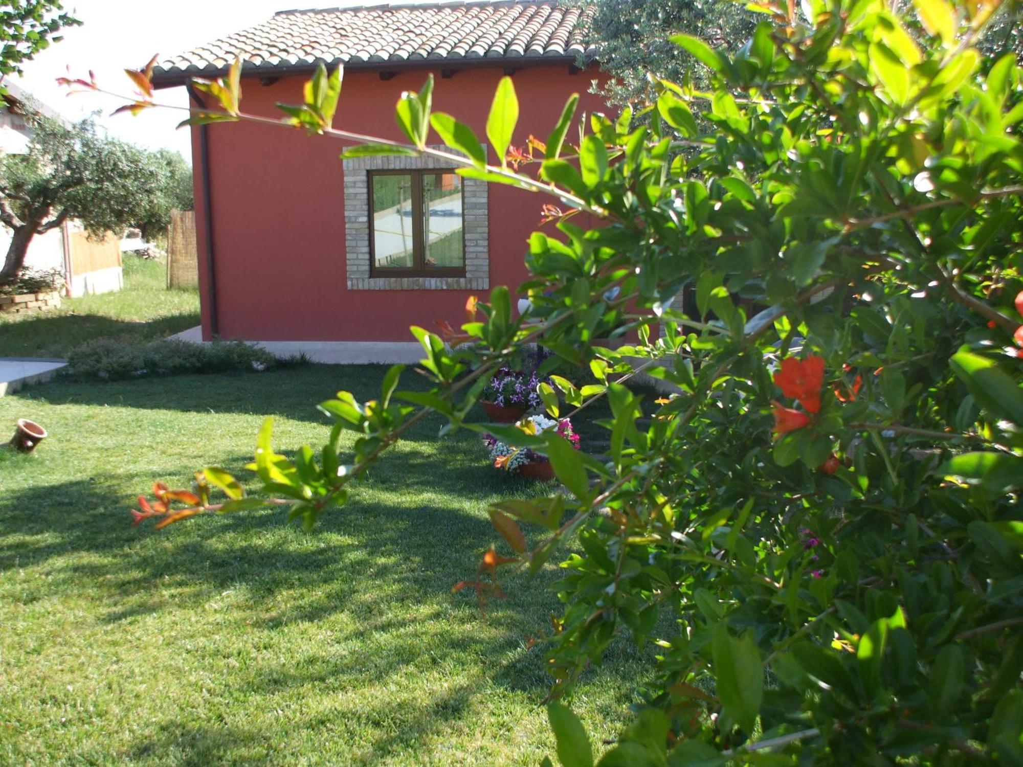 Agriturismo Il Borgo Degli Ulivi ロゼート・デッリ・アブルッツィ エクステリア 写真