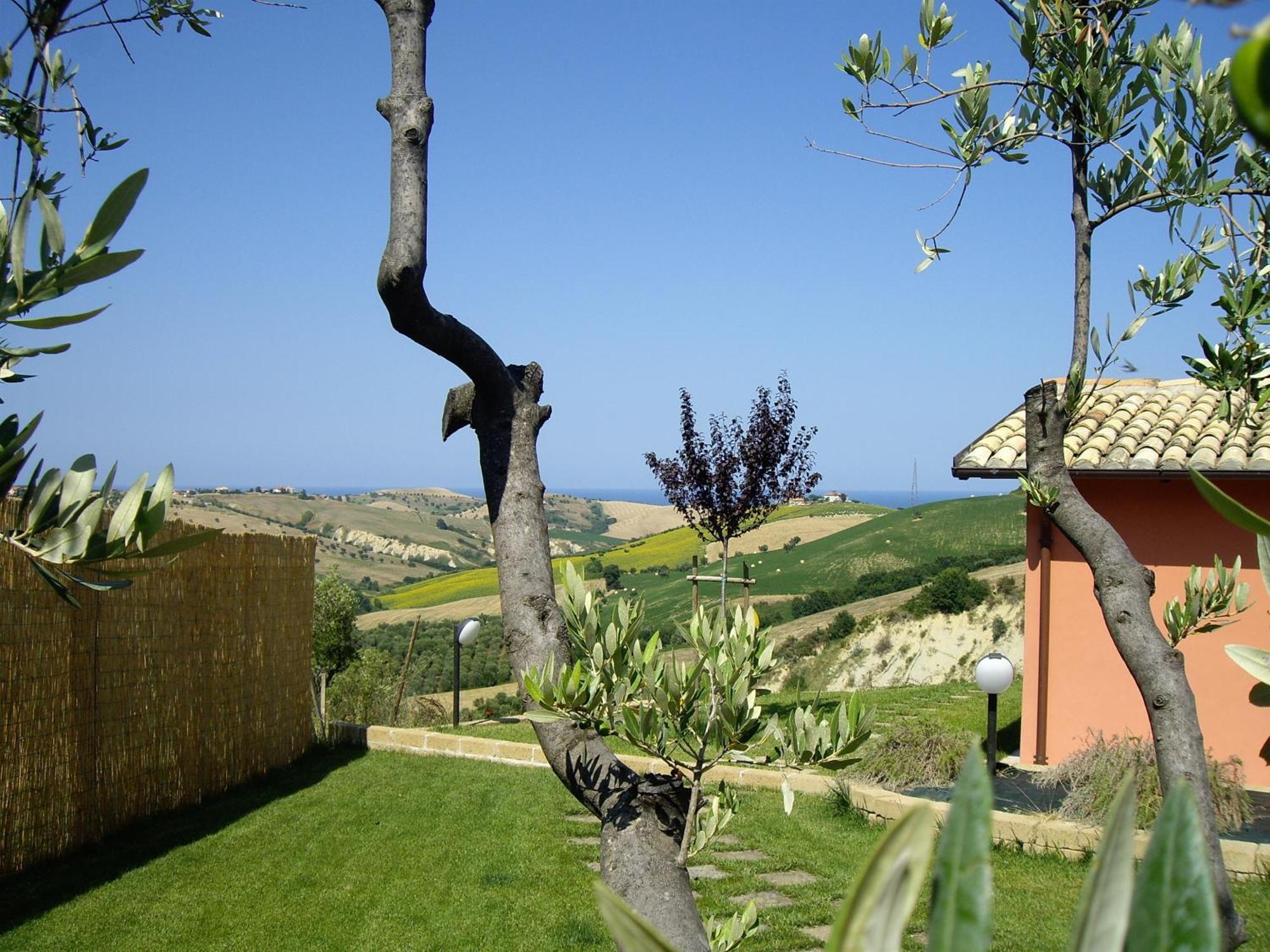 Agriturismo Il Borgo Degli Ulivi ロゼート・デッリ・アブルッツィ エクステリア 写真
