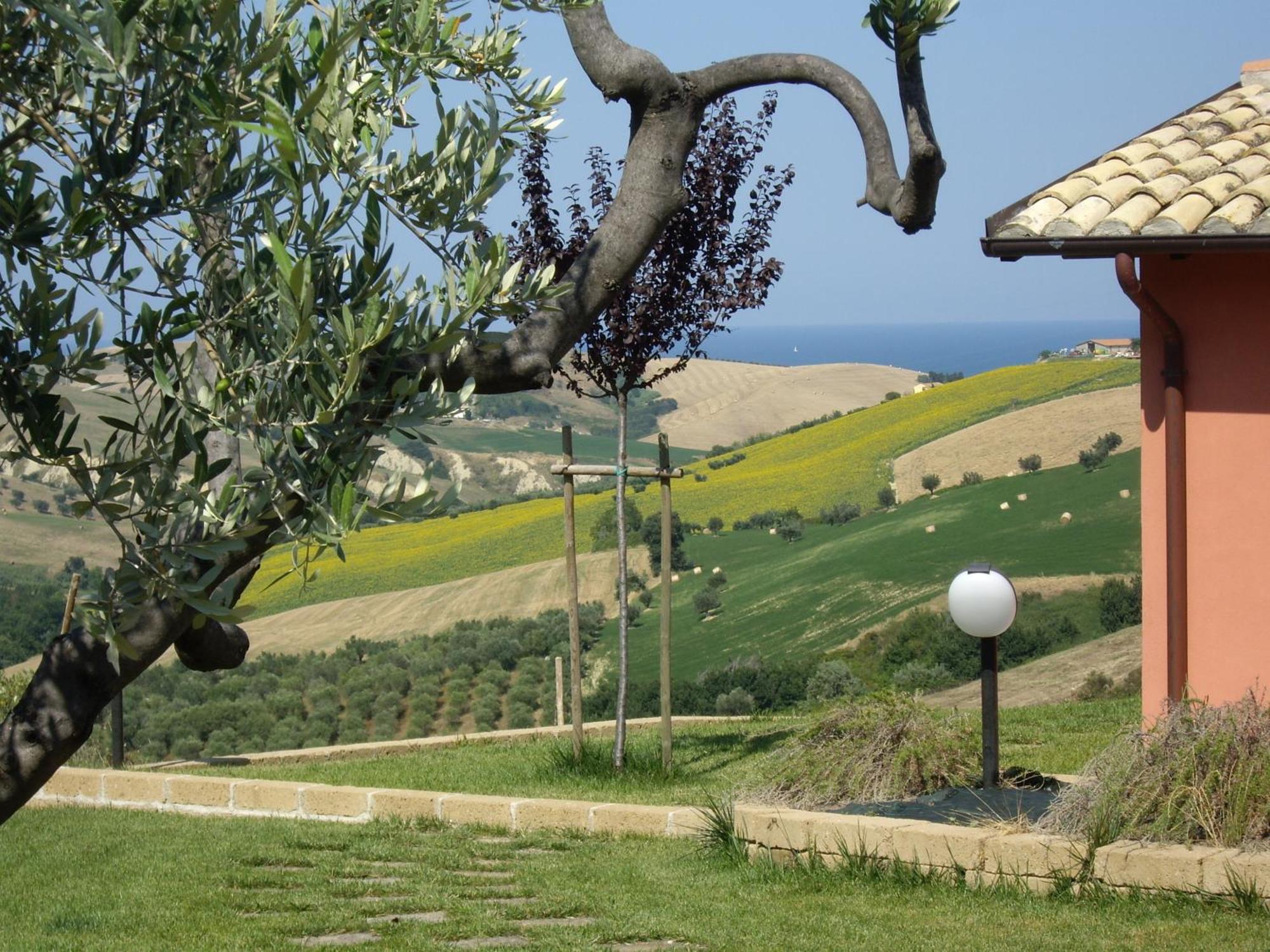 Agriturismo Il Borgo Degli Ulivi ロゼート・デッリ・アブルッツィ エクステリア 写真